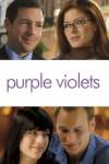 Purple Violets Purple Violets