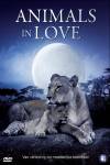 Animals In Love