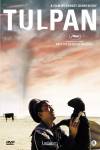 Tulpan