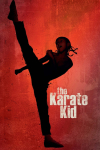 The Karate Kid - Informatie