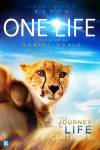 One Life One Life