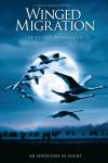 Winged Migration Winged Migration