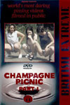 Champagne Picnic Part I Champagne Picnic Part I
