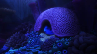 Finding Dory online kijken / downloaden