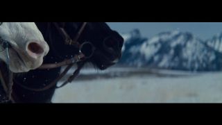The Hateful Eight online kijken / downloaden