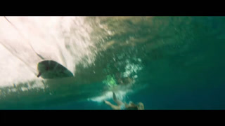The Shallows online kijken / downloaden