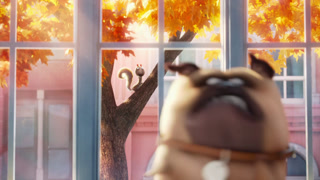 The Secret Life of Pets online kijken / downloaden