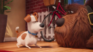 The Secret Life of Pets online kijken / downloaden
