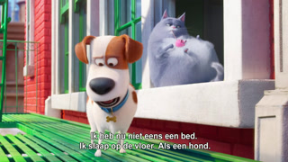 The Secret Life of Pets online kijken / downloaden