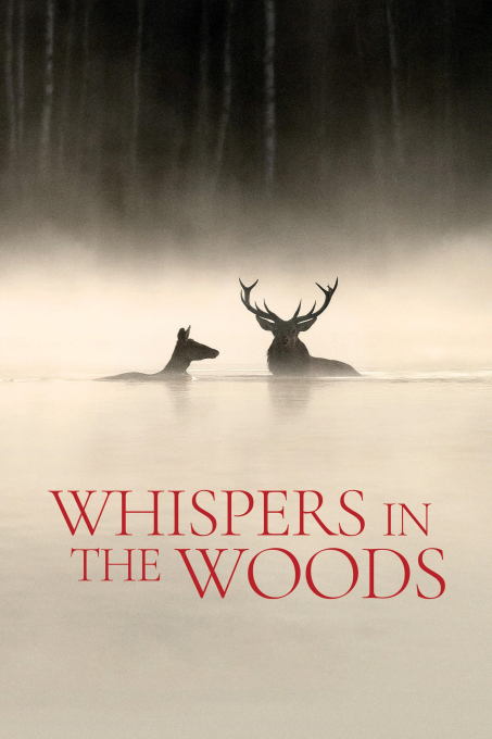 Whispers in the Woods