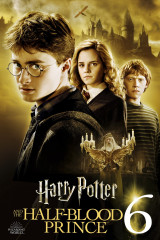 Harry Potter And The Half Blood Prince huismerk kopen in de aanbieding