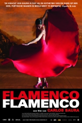 Flamenco, Flamenco